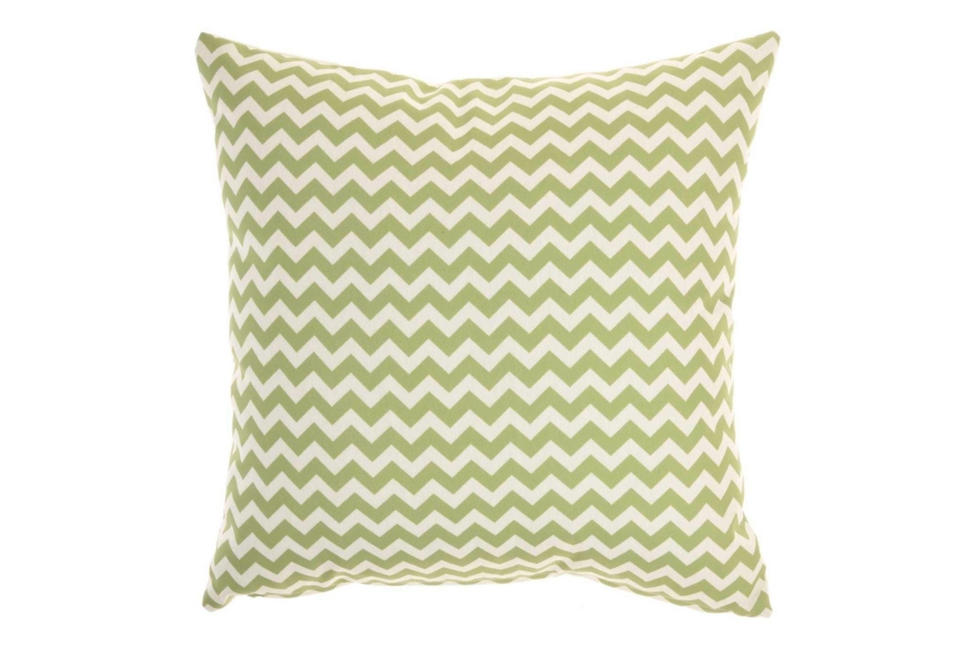 Sprout 18x18 Throw Pillow